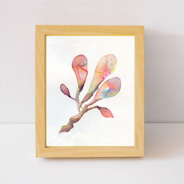 Magnolias 2 - Image 3